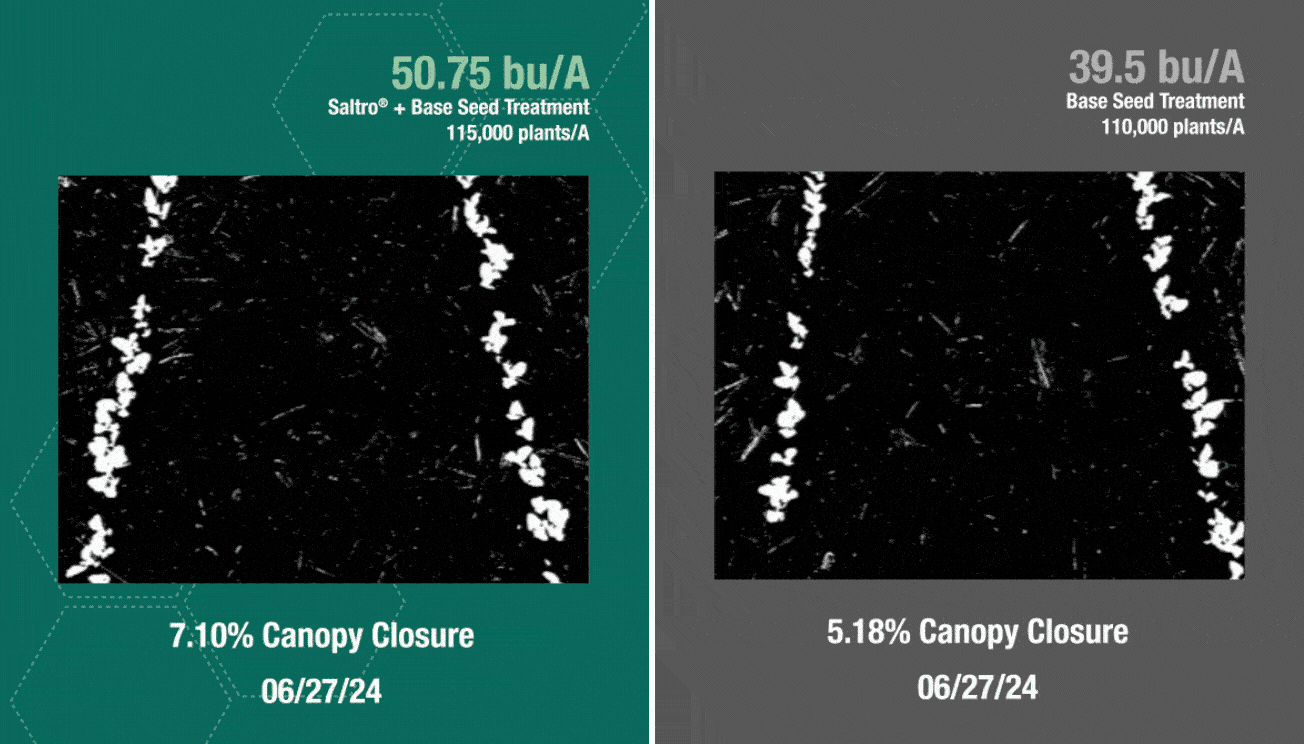 A Michigan soybean trial comparing Saltro seed treatment versus a base seed treatment alone, showing 50.75 bu/A yield and 97.73% canopy closure with Saltro compared with 39.5 bu/A yield and 90.59% canopy closure with the same base treatment alone.